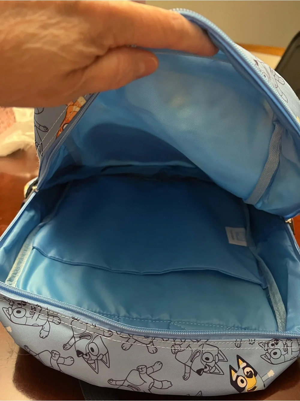 Bluey adorable backpack